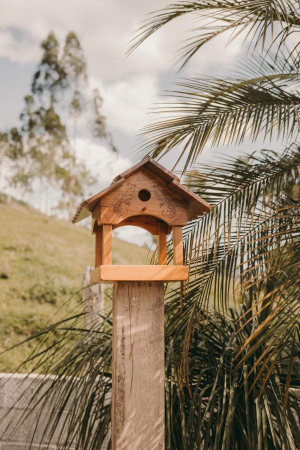 Casa Confortavel Em Local Tranquilo. Rodeio エクステリア 写真